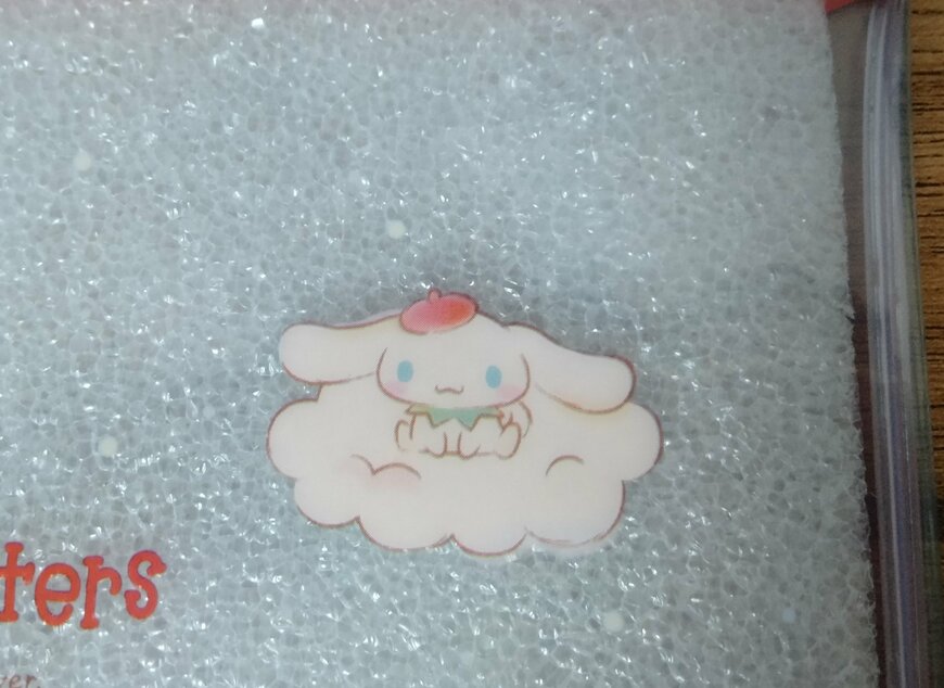 筆者撮影（セリア、フラットポーチ M/X いちご　27217）