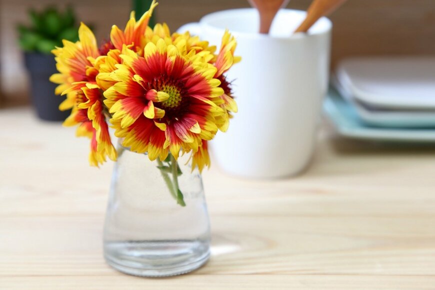 Hawk777/shutterstock.com