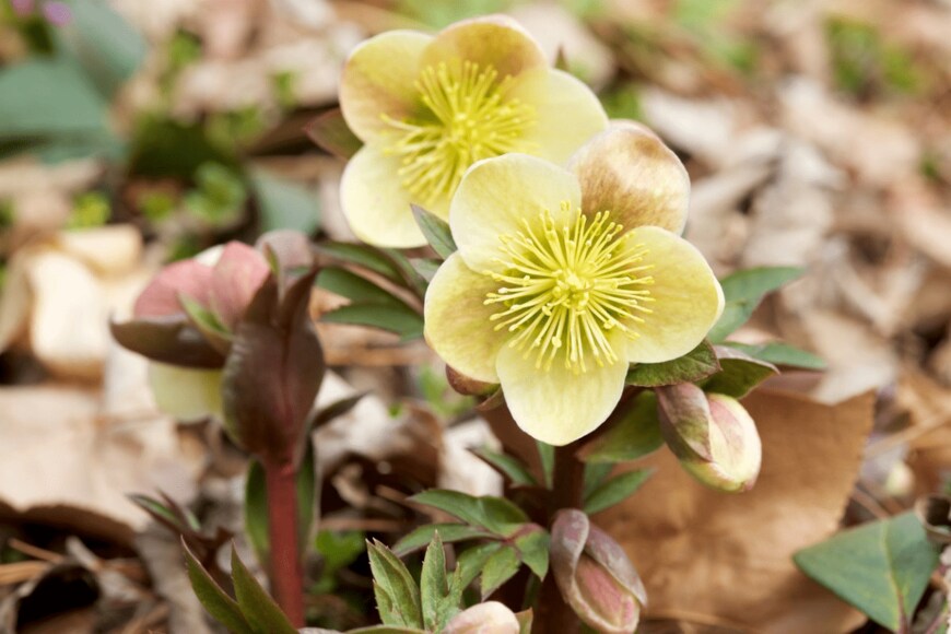 Billy_Fam/istockphoto.com