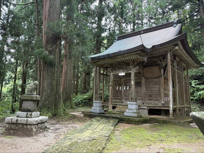 投稿の画像
