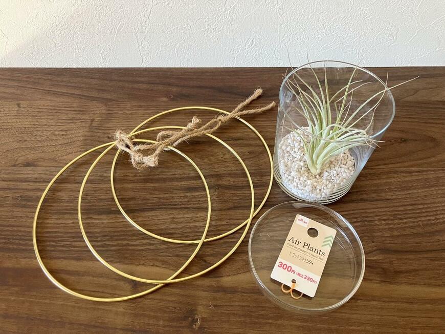 エアープランツ