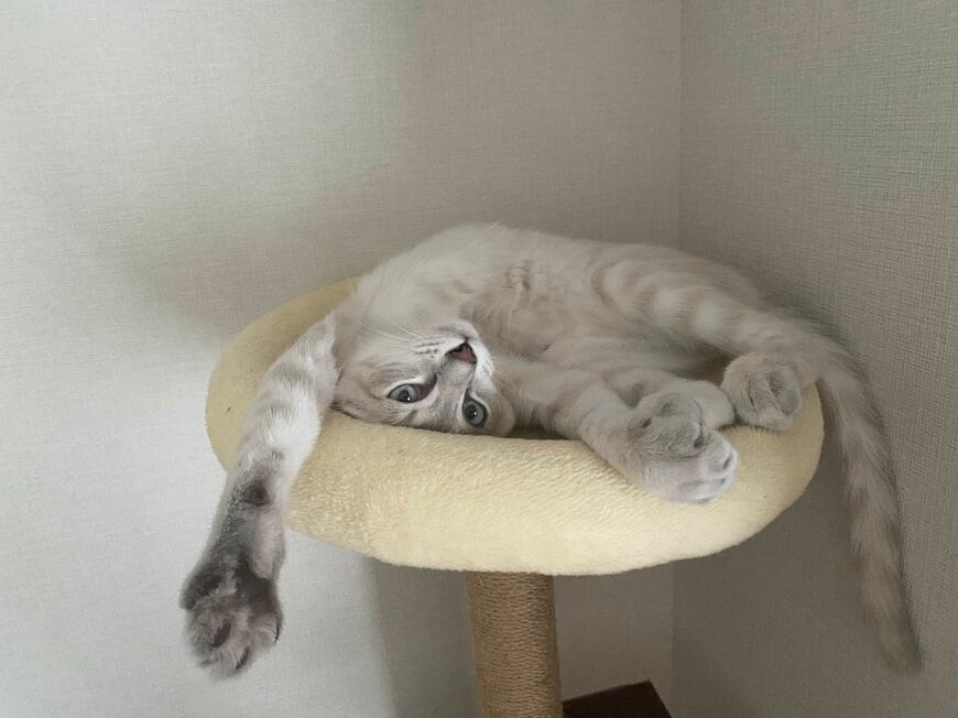 普段の様子