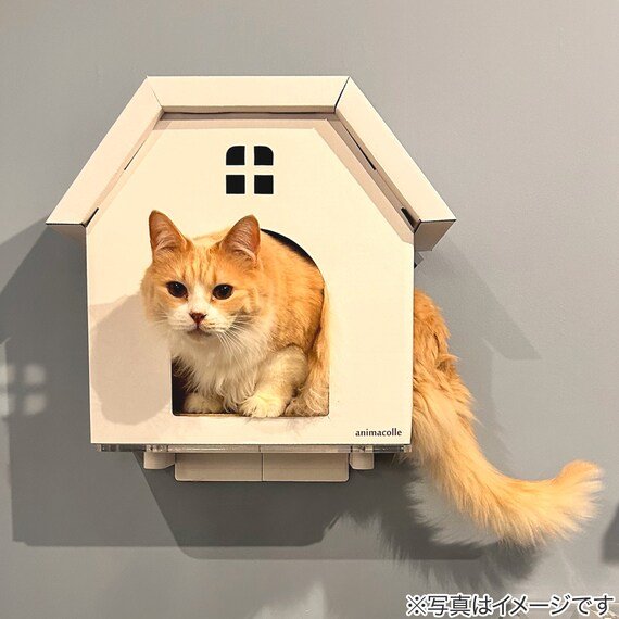 ニトリ、キャットステップanimacolle用爪とぎキャットハウス画像