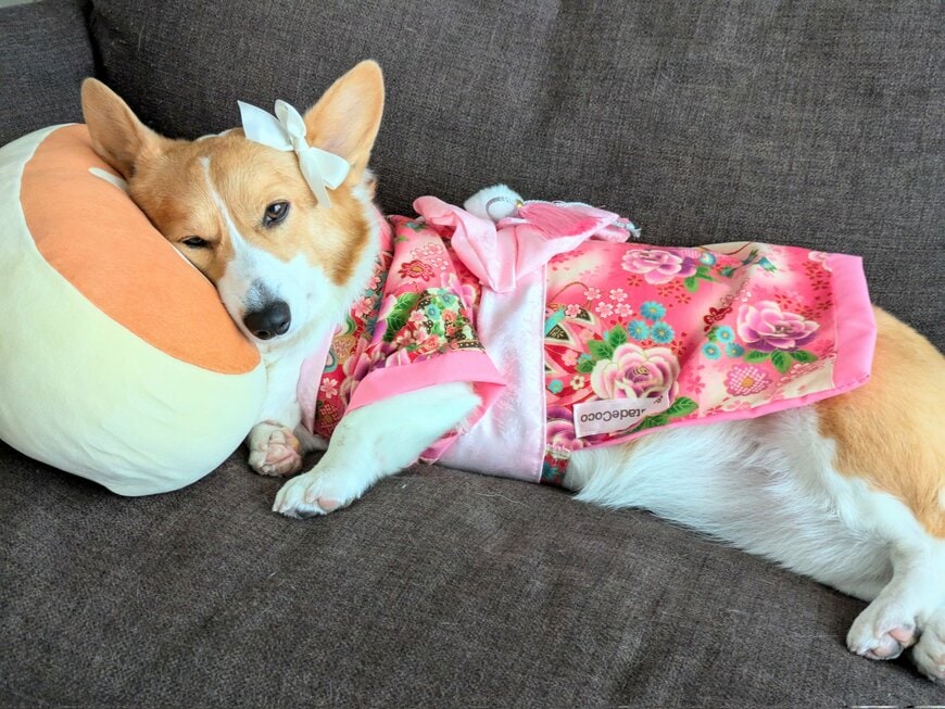 成人式で羽目外して飲みすぎたような姿