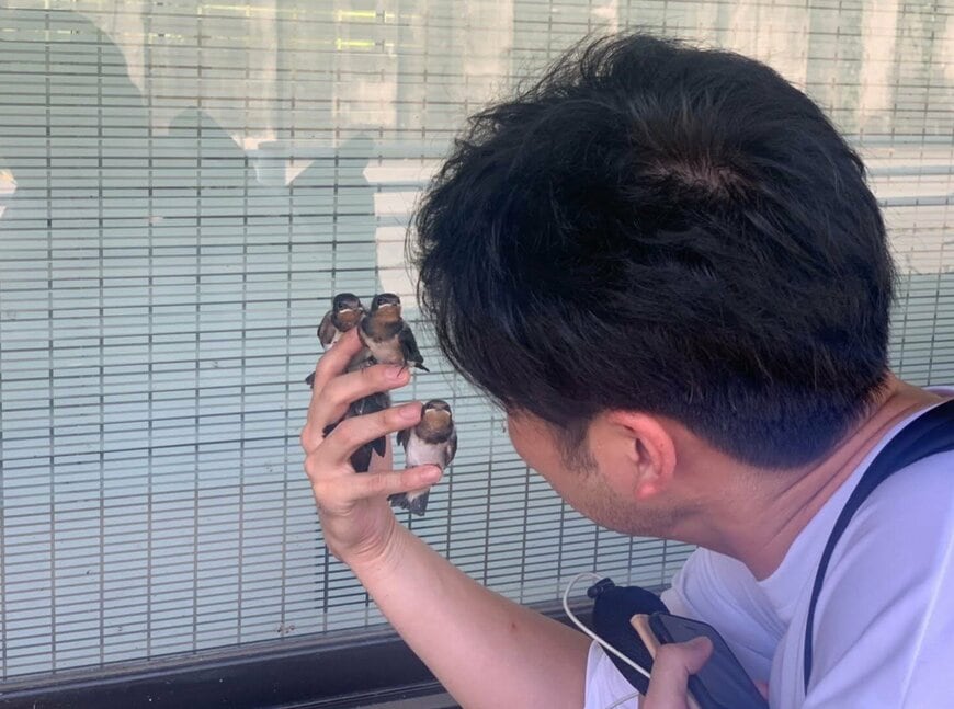 投稿の画像
