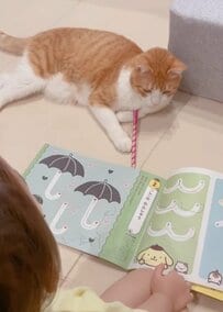 【一緒にいたいニャ】幼児のことが大好きな猫　離れられない様子が可愛すぎて胸キュン！