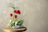 【年金】6月支給分から1.9%増える！女性の年金【ひとりで月額15万円超】の人はどれほどいるの？