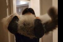 されるがままの「ねこ吸い」大型猫さんのお風呂前の光景に羨望の声