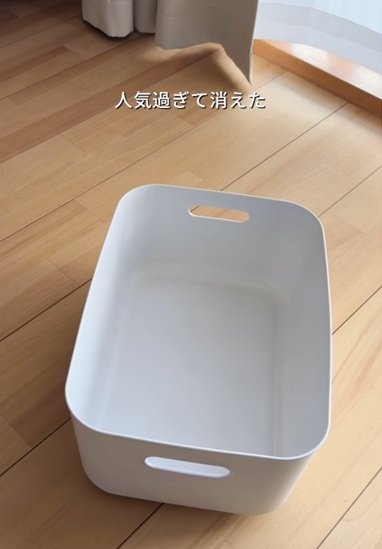 変身前の無印良品の収納ケース