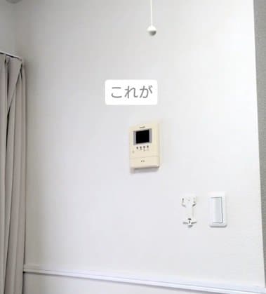 投稿の画像