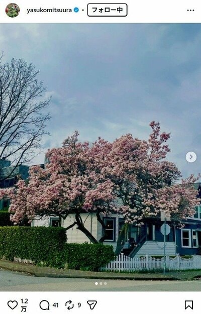 光浦靖子のInstagram投稿