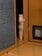 ホラー動画を観ていたら視線を感じて…扉の陰から恨めしそうにこちらを見つめる猫が愛らしい