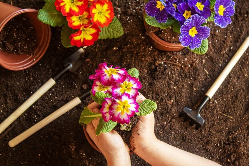 Milena Khosroshvili/shutterstock.com