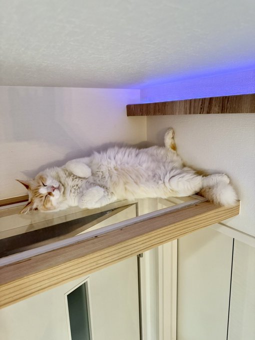 出所：@omochi_nam01