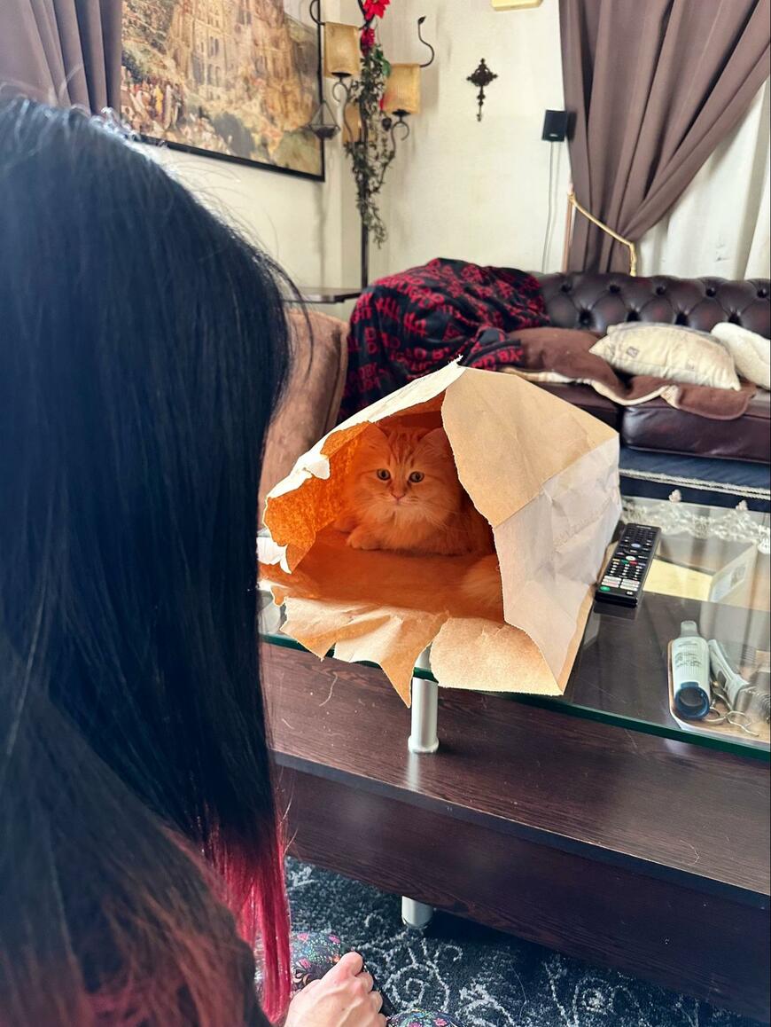 出所：@NEKOLAND13