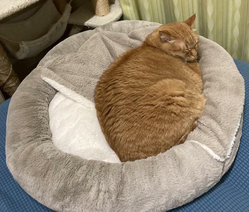 出所：@kagisuzu0531