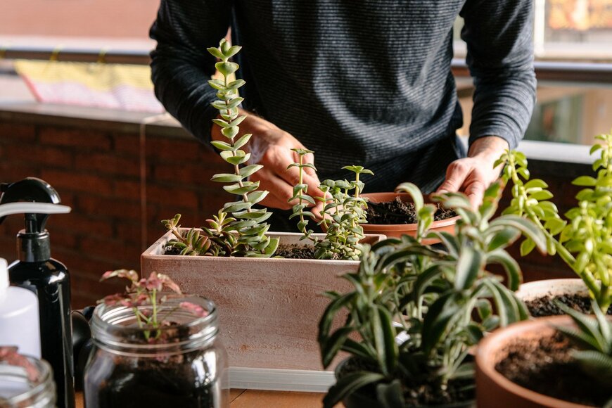 Edylaras/Shutterstock.com