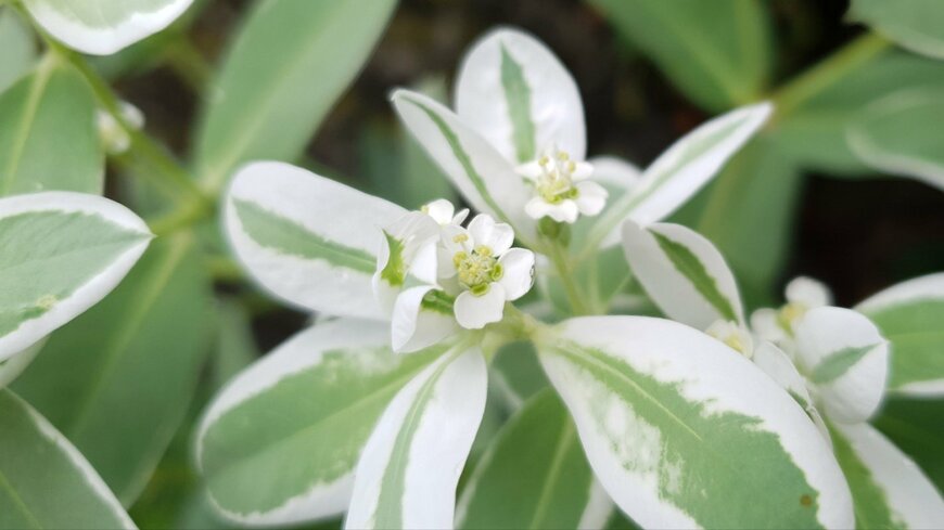 ppuDi/shutterstock.com