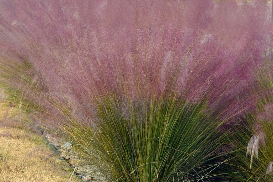 MaryAnne Campbell/istockphoto.com