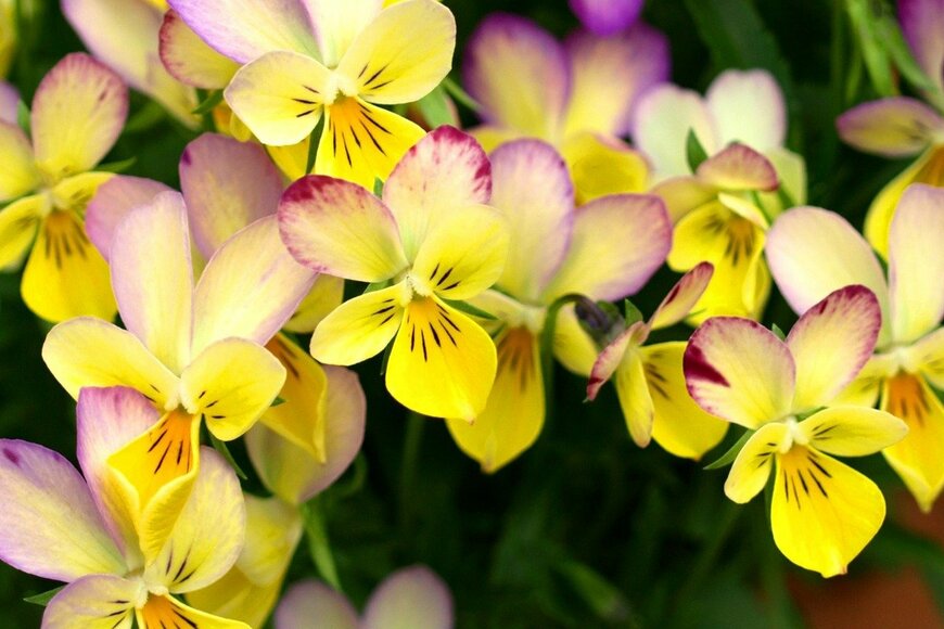 syan/istockphoto.com