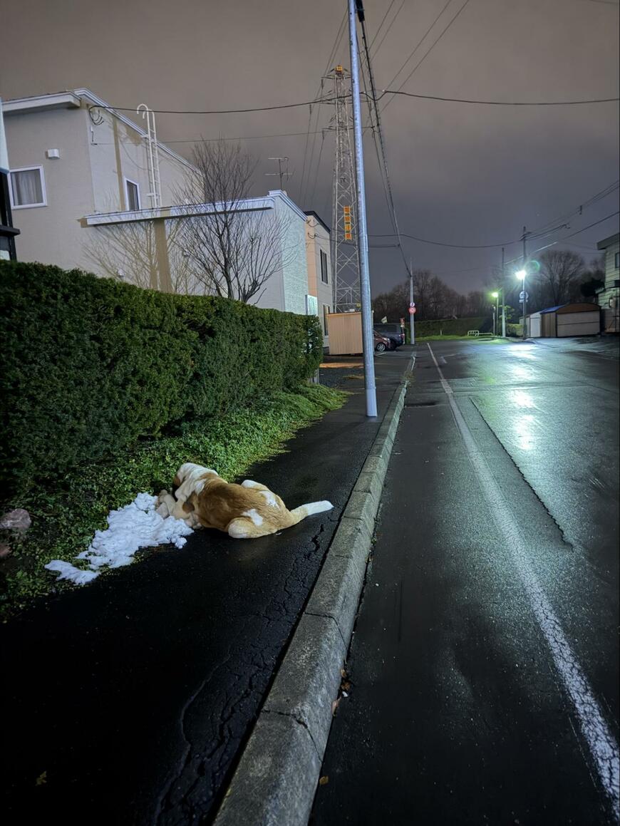 出所：@komachi8991