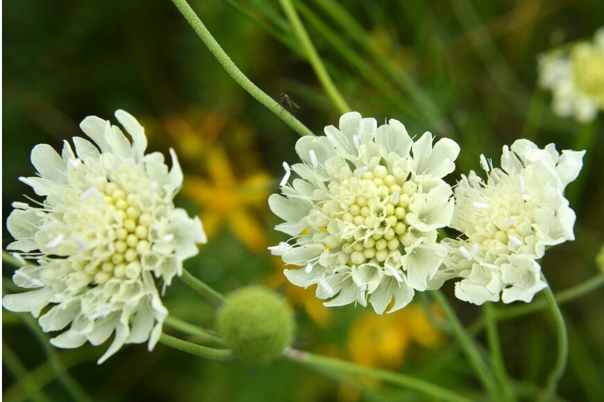 Orest Lyzhechka/istockphoto.com