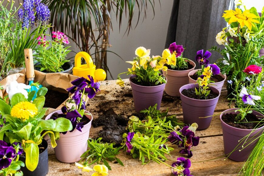 pundapanda/istockphoto.com