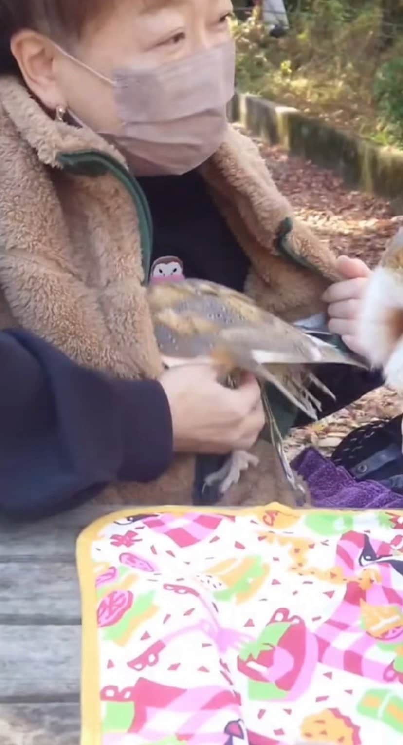 出所：@miki4wan108