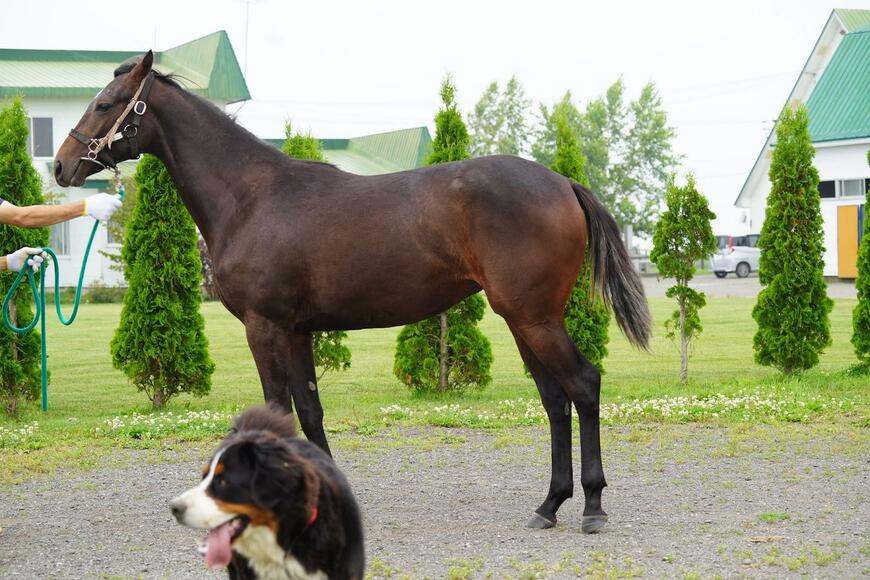 出所：@Farm_Versailles