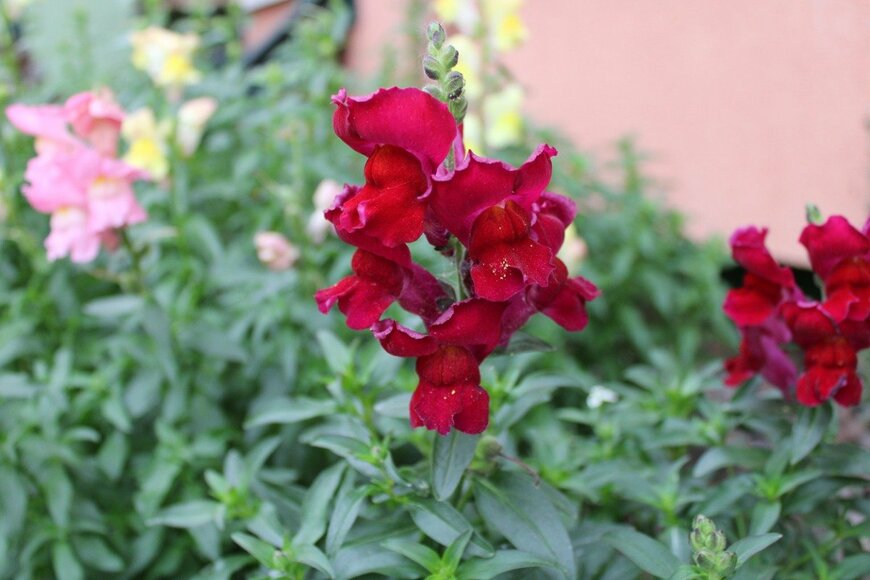 Ljubica Zugaj/istockphoto.com