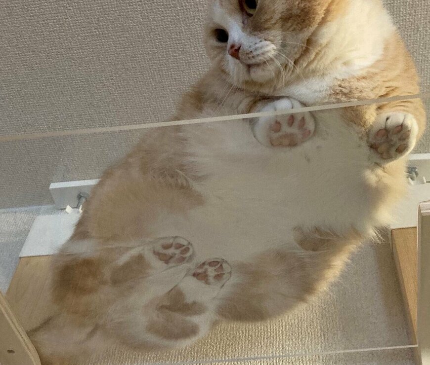 出所：@nekotansoku