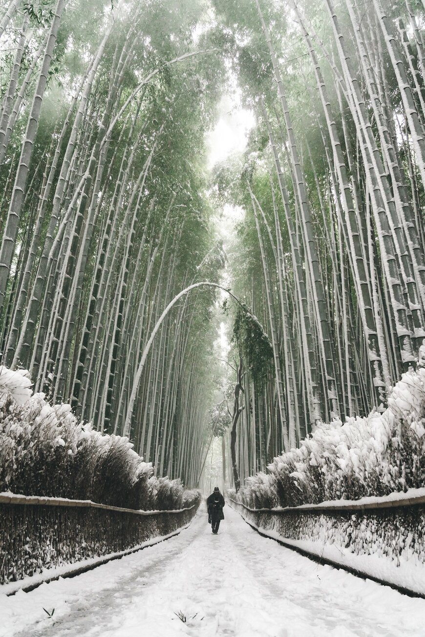 出所：@ayamegraphy