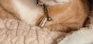 出所：＠torakichicorporation