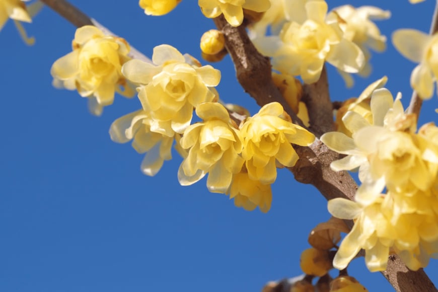 Hiyoman/shutterstock.com