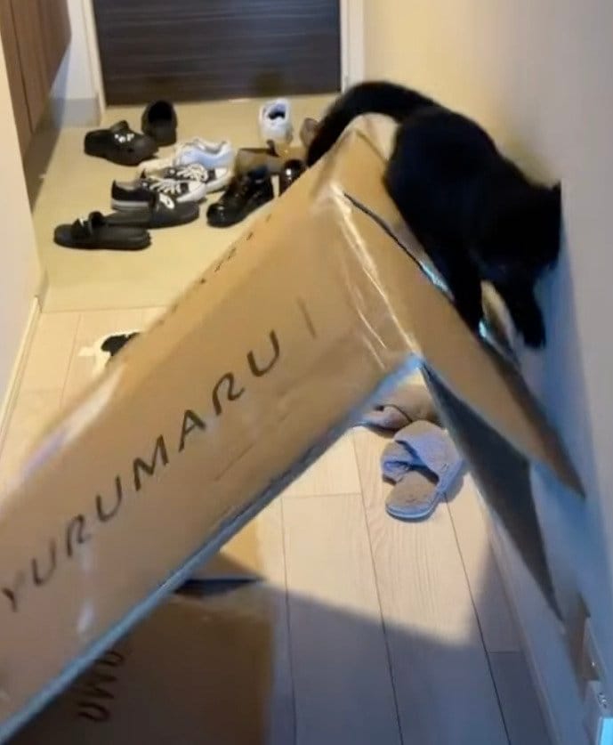 出所：@kotetsu_0420