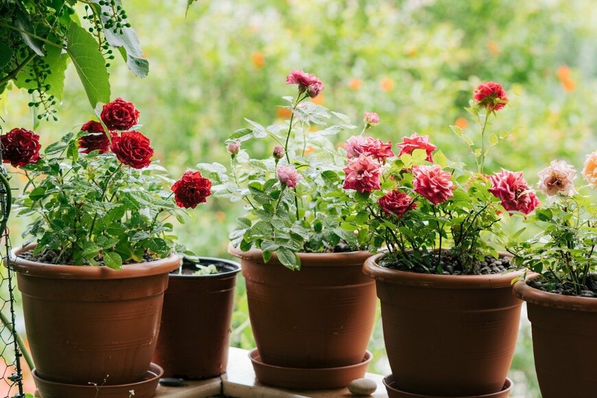 Nadtochiy/istockphoto.com