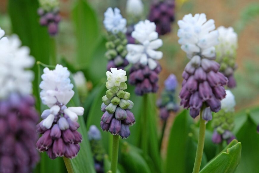 Alex Manders/shutterstock.com