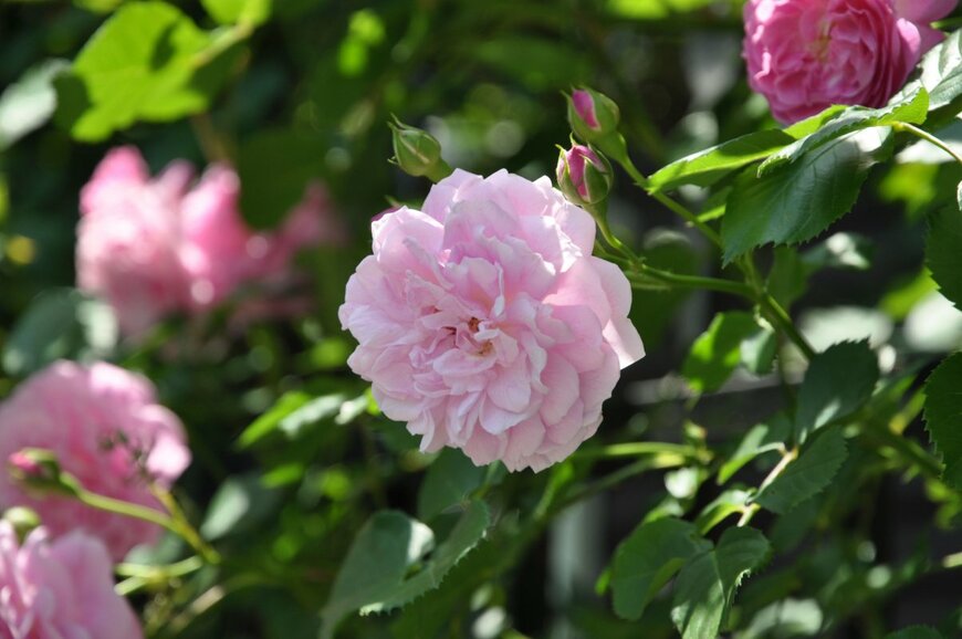 YukoF/shutterstock.com