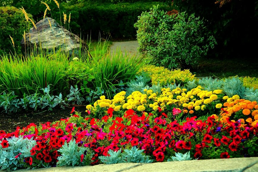 赤いペチュニア、黄色やオレンジのマリーゴールドなどが咲く花壇