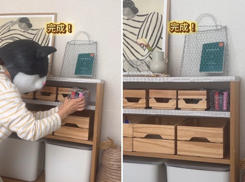 投稿の画像