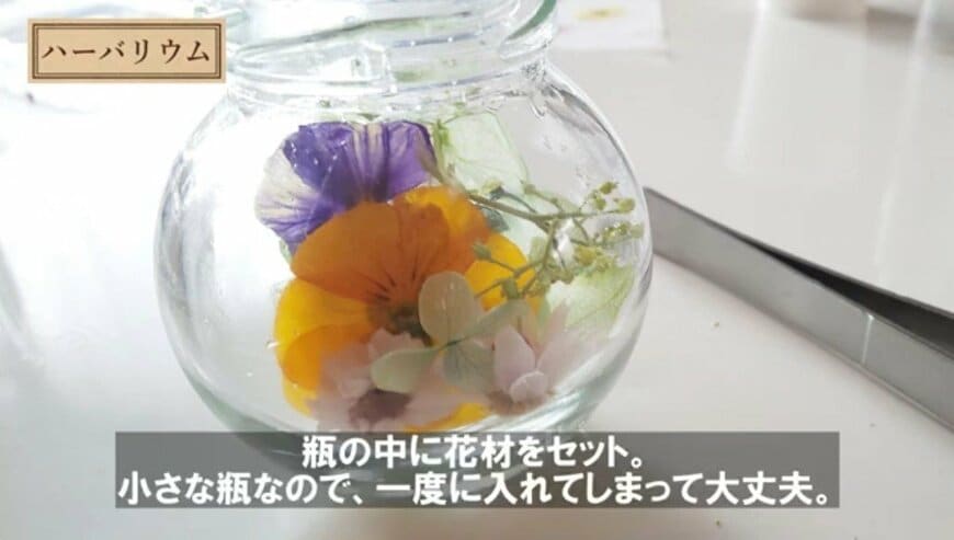 @チェリーガーデン