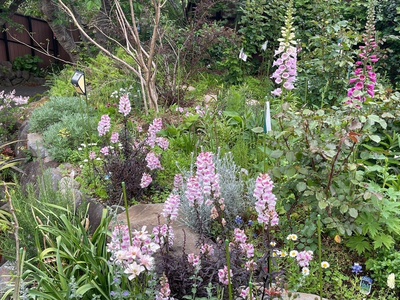 假屋崎省吾のAmeba公式ブログ投稿