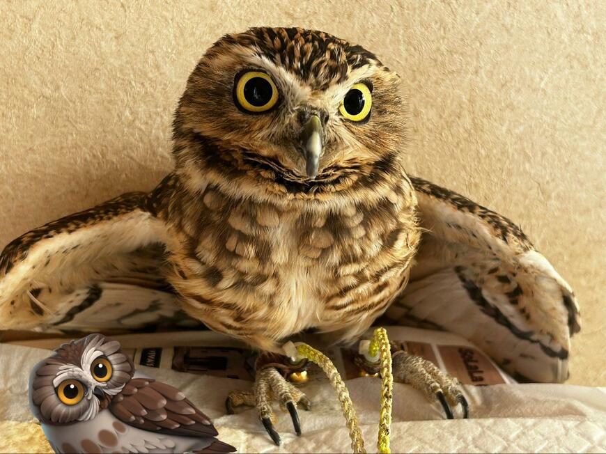 投稿動画のワンシーン