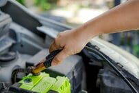 【解せぬ】車からスズメを救出した整備士　手のひらで見せた顔に「不服そう」「可愛い」