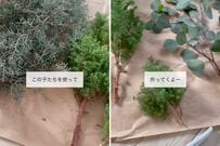 「ナチュラルで可愛い〜！」5種類の植物を使って...→おしゃれな〈クリスマススワッグ〉を作る！切ってまとめてしばるだけで超簡単