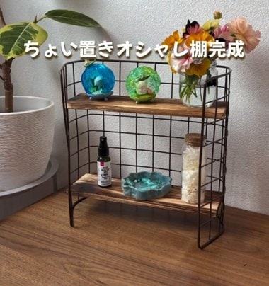 投稿の画像