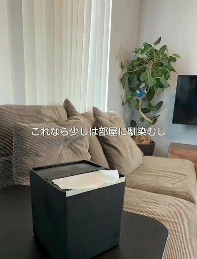 変身後の黒染めケース