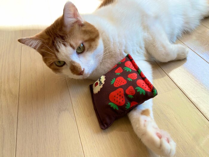 目の前に置いてみましたが、まさかの反応なし