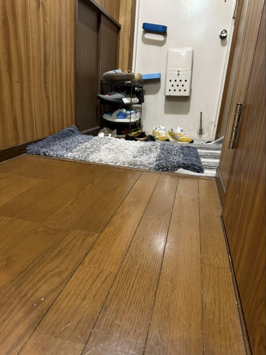 出所：@00shitemita