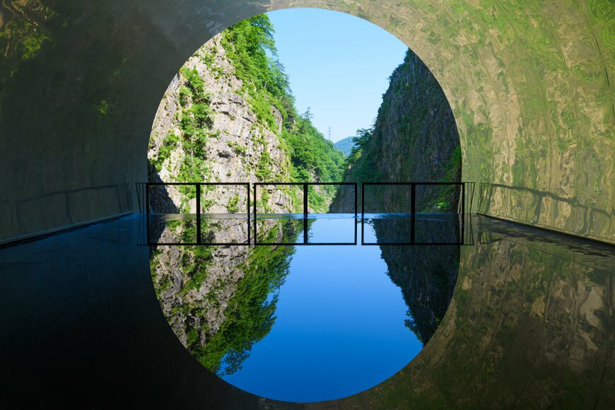 segawa7/shutterstock.com